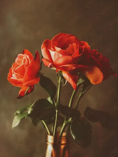 Rosa Arancione Elegante in Vaso: Composizione Floreale Romantica