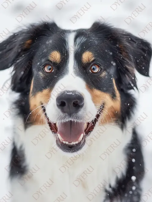 Cane felice in inverno con neve